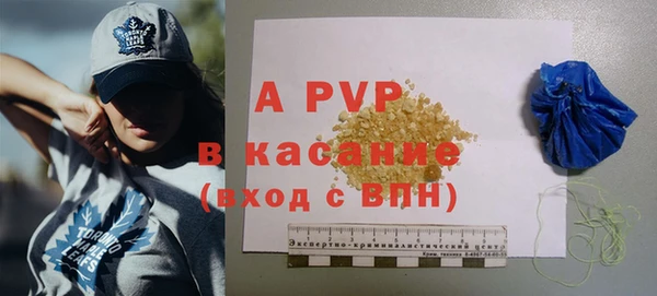 сатива Костерёво