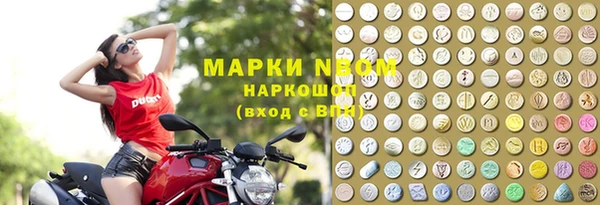 сатива Костерёво