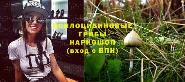 сатива Костерёво
