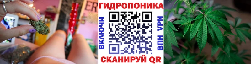 Купить где Красавино Канабис марихуана